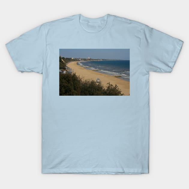 Golden Sands T-Shirt by RedHillDigital